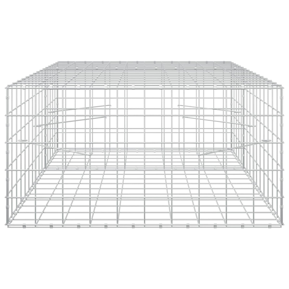 vidaXL Gabion z drutem 5 mm i siatką 10x10 cm 150x100x50 cm