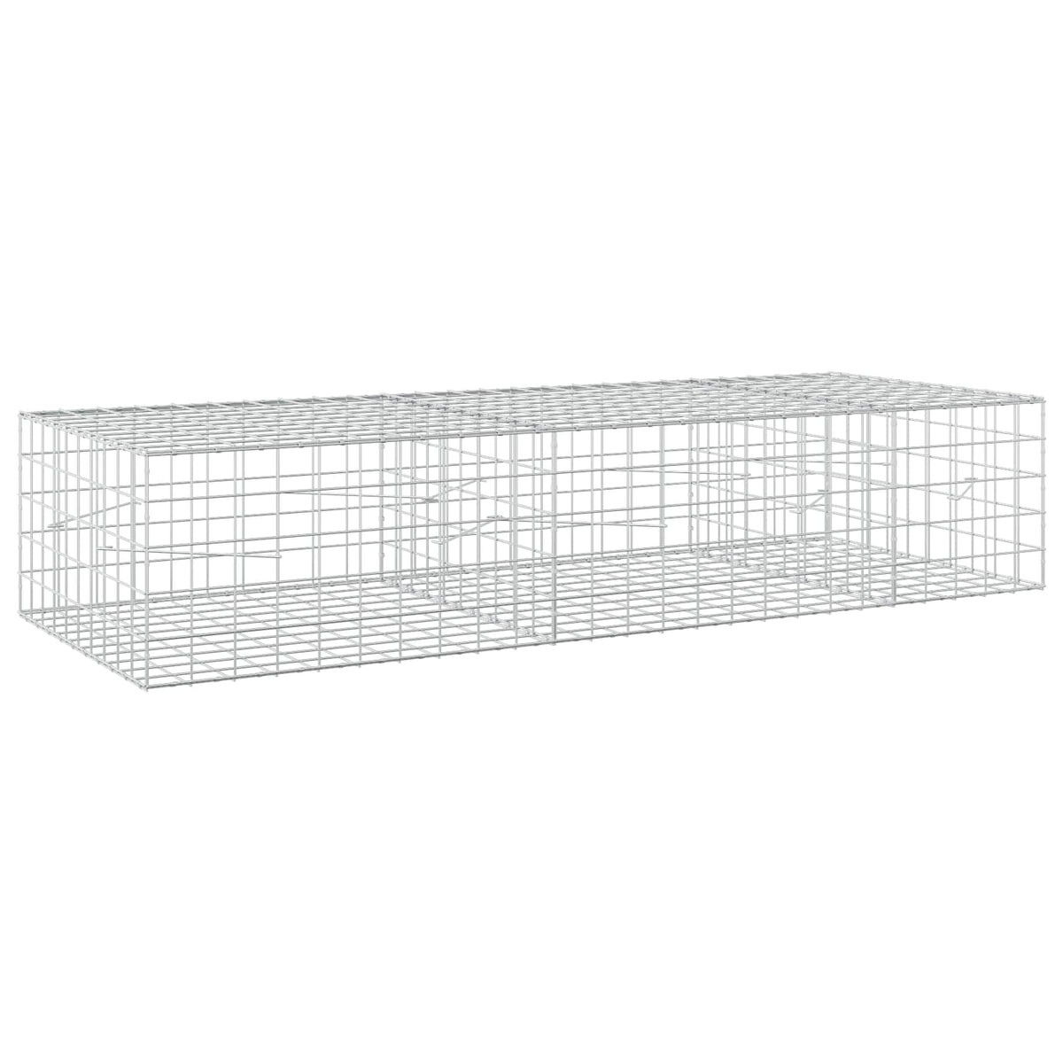 vidaXL Gabion z drutem 5 mm i siatką 10x10 cm 250x100x50 cm