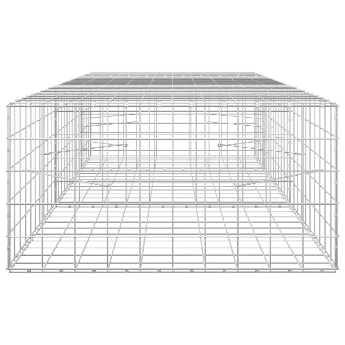 vidaXL Gabion z drutem 5 mm i siatką 10x10 cm 250x100x50 cm