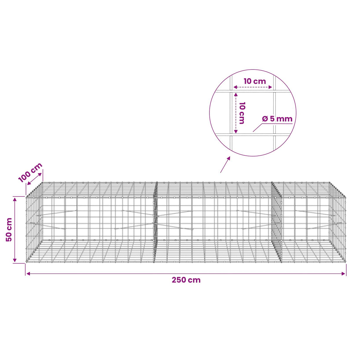 vidaXL Gabion z drutem 5 mm i siatką 10x10 cm 250x100x50 cm