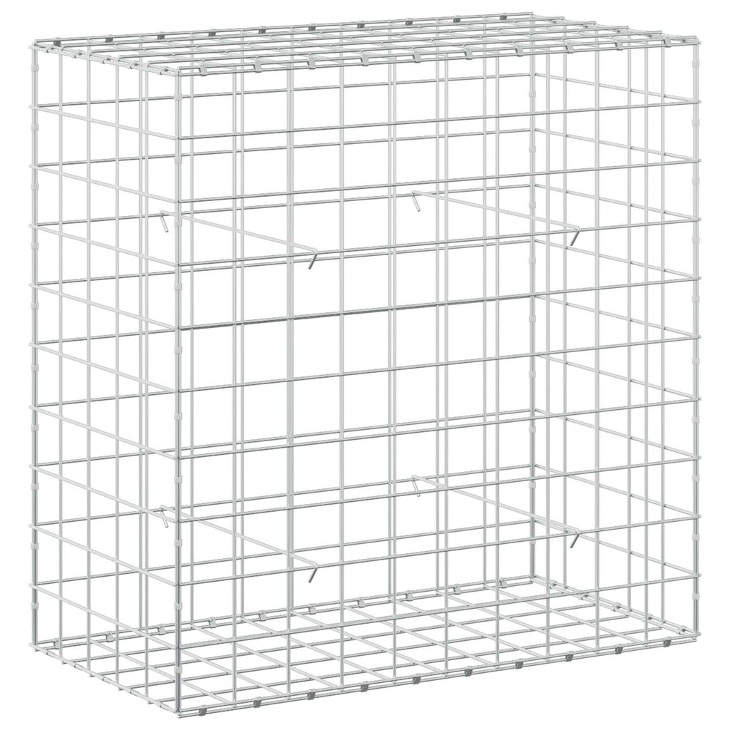 vidaXL Gabion z drutem 5 mm i siatką 10x10 cm 50x100x100 cm