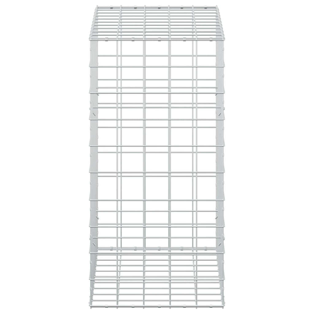 vidaXL Gabion z drutem 5 mm i siatką 10x10 cm 50x100x100 cm