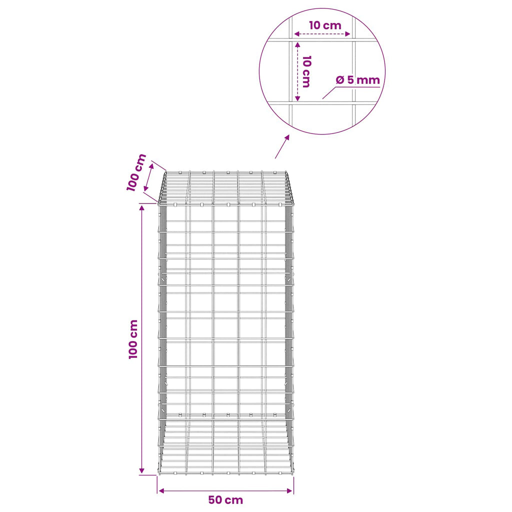 vidaXL Gabion z drutem 5 mm i siatką 10x10 cm 50x100x100 cm
