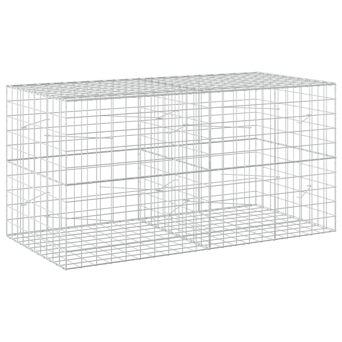vidaXL Gabion z drutem 5 mm i siatką 10x10 cm 200x100x100 cm