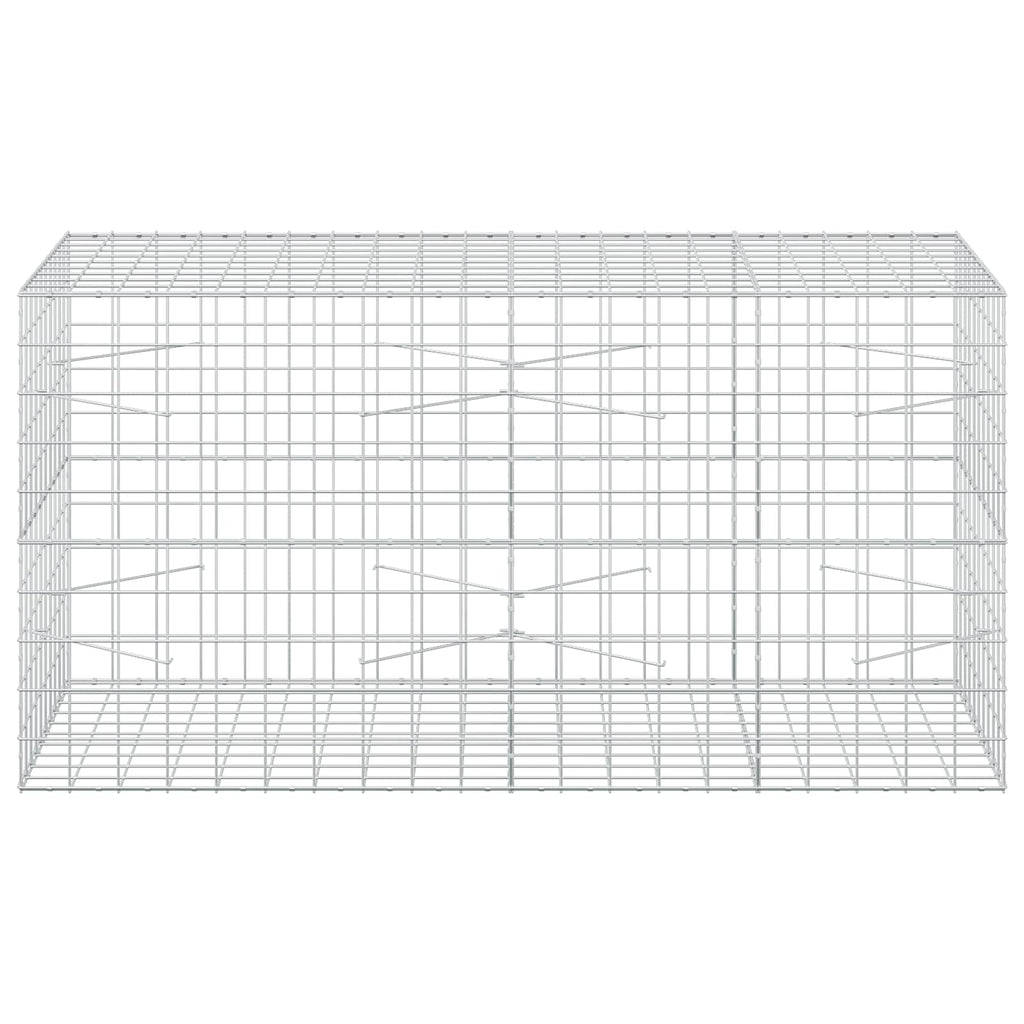 vidaXL Gabion z drutem 5 mm i siatką 10x10 cm 200x100x100 cm