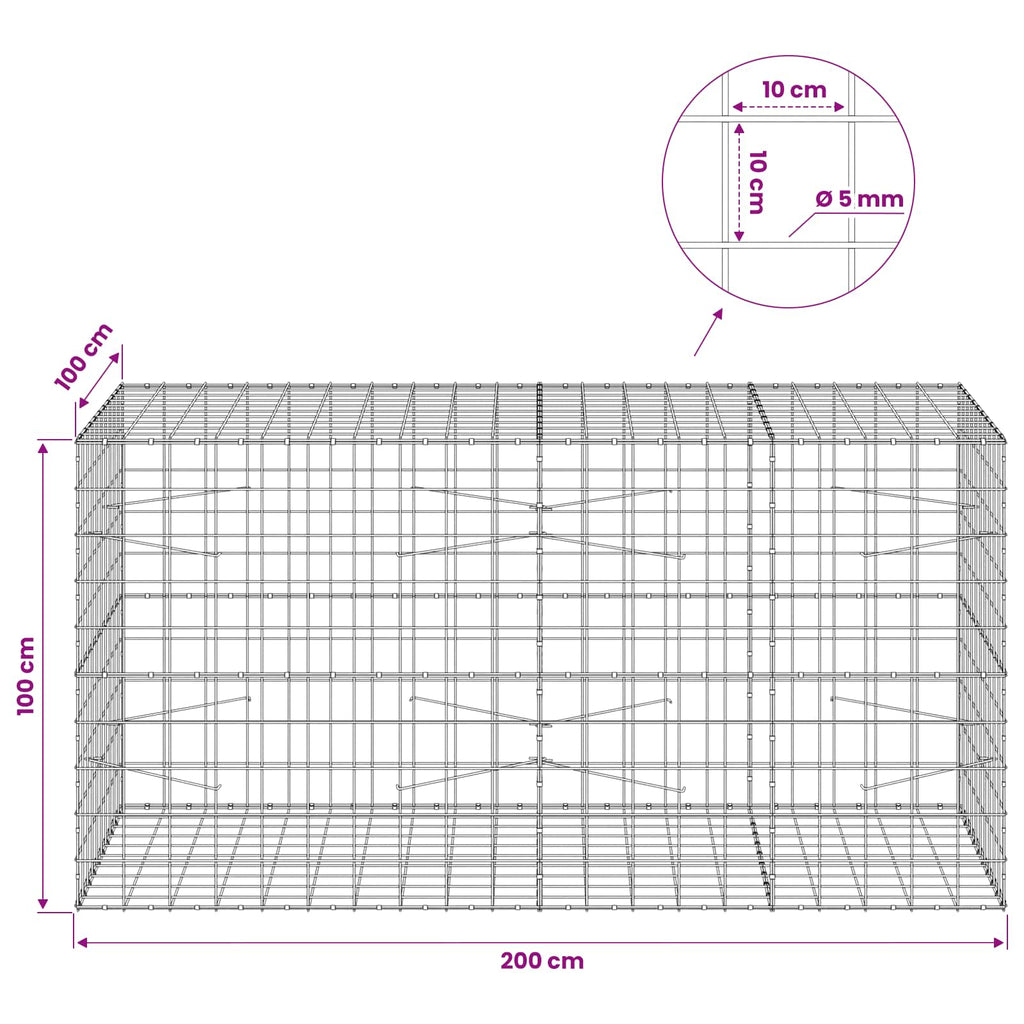 vidaXL Gabion z drutem 5 mm i siatką 10x10 cm 200x100x100 cm