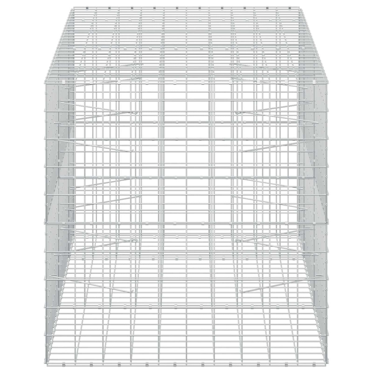 vidaXL Gabion z drutem 5 mm i siatką 10x10 cm 250x100x100 cm