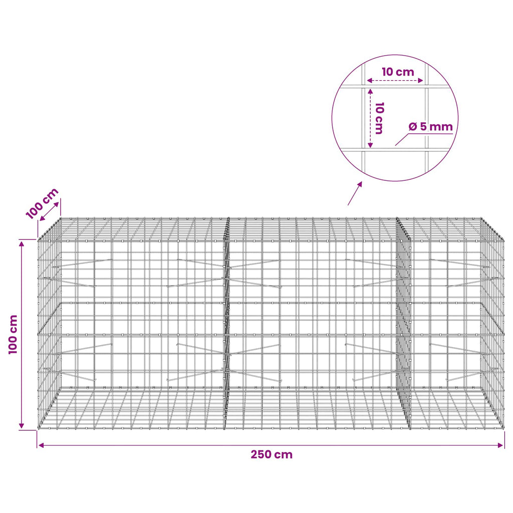 vidaXL Gabion z drutem 5 mm i siatką 10x10 cm 250x100x100 cm