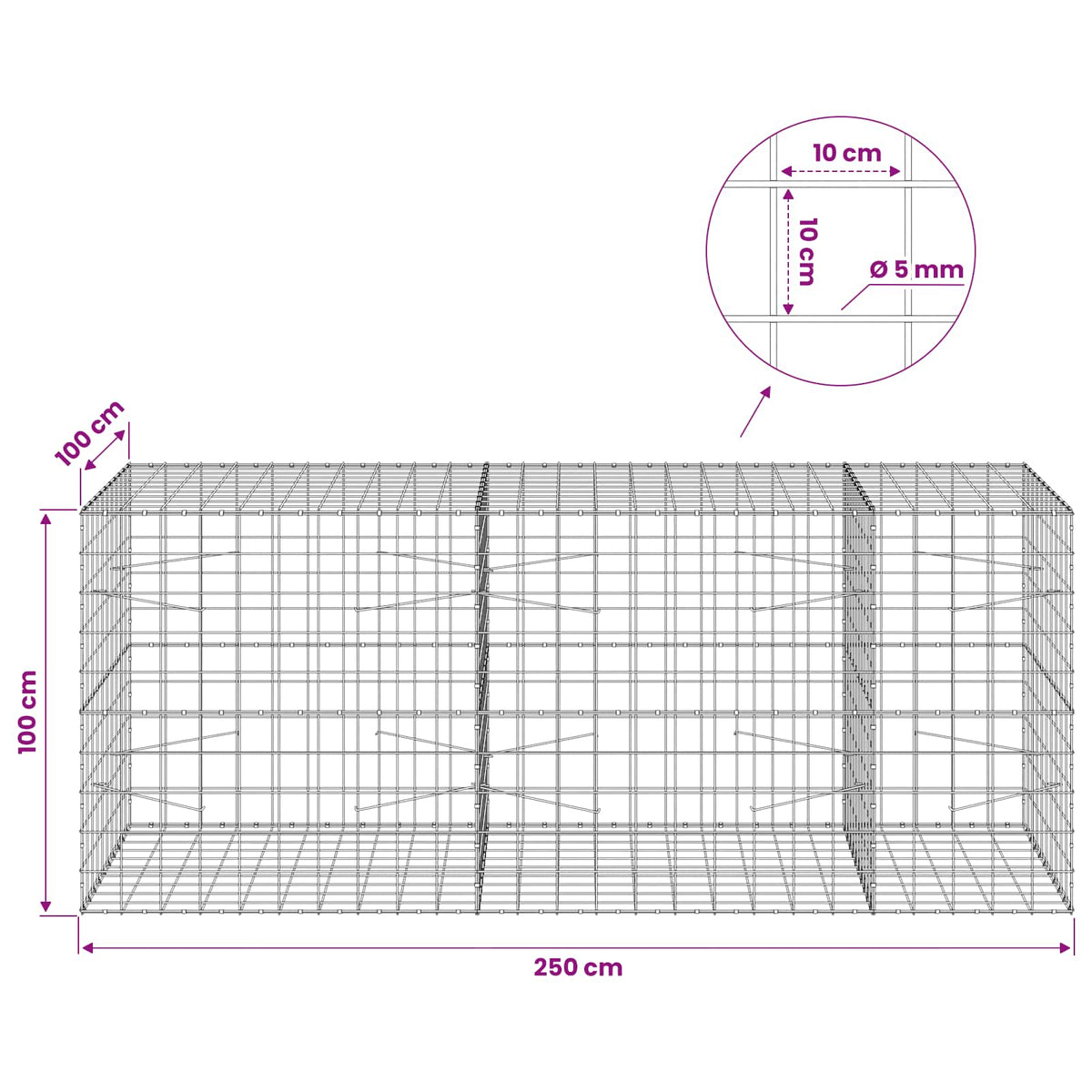vidaXL Gabion z drutem 5 mm i siatką 10x10 cm 250x100x100 cm