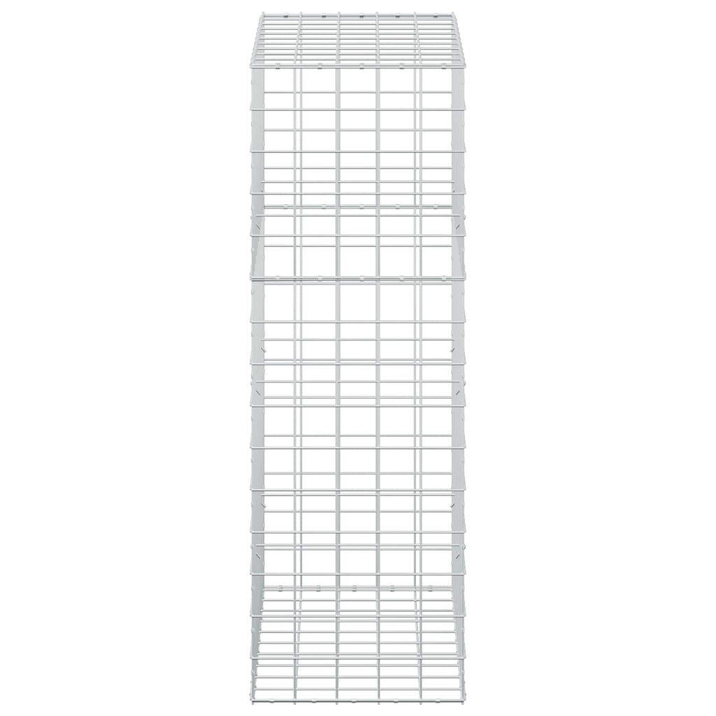 vidaXL Gabion z drutem 5 mm i siatką 10x10 cm 50x100x150 cm
