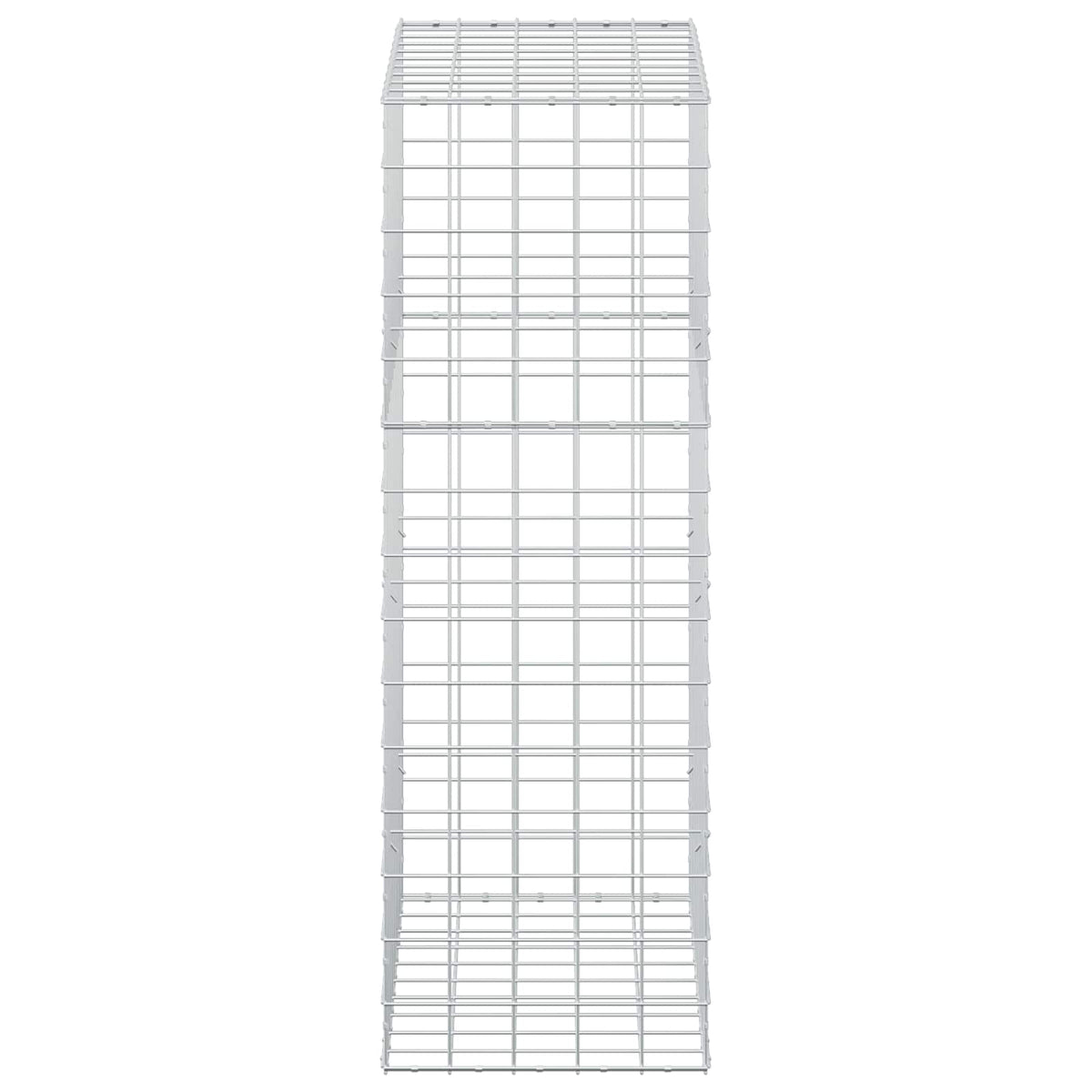 vidaXL Gabion z drutem 5 mm i siatką 10x10 cm 50x100x150 cm