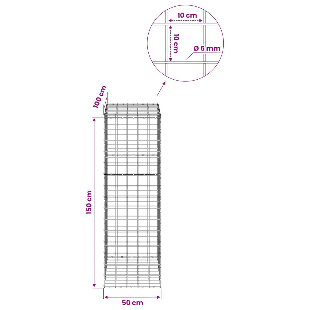 vidaXL Gabion z drutem 5 mm i siatką 10x10 cm 50x100x150 cm