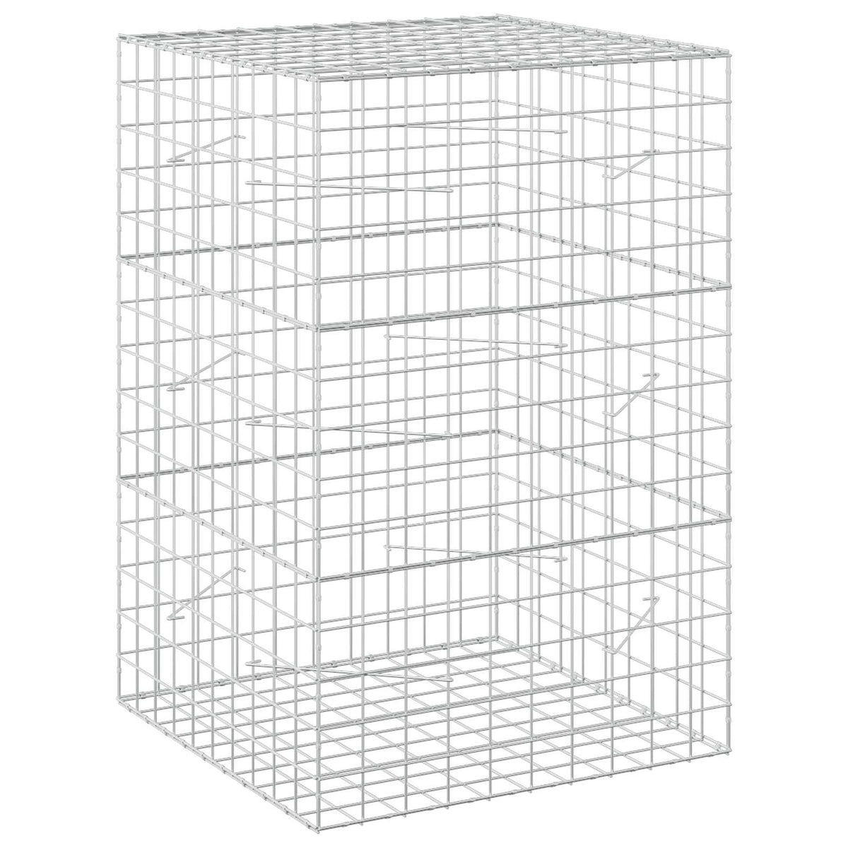 vidaXL Gabion z drutem 5 mm i siatką 10x10 cm 100x100x150 cm