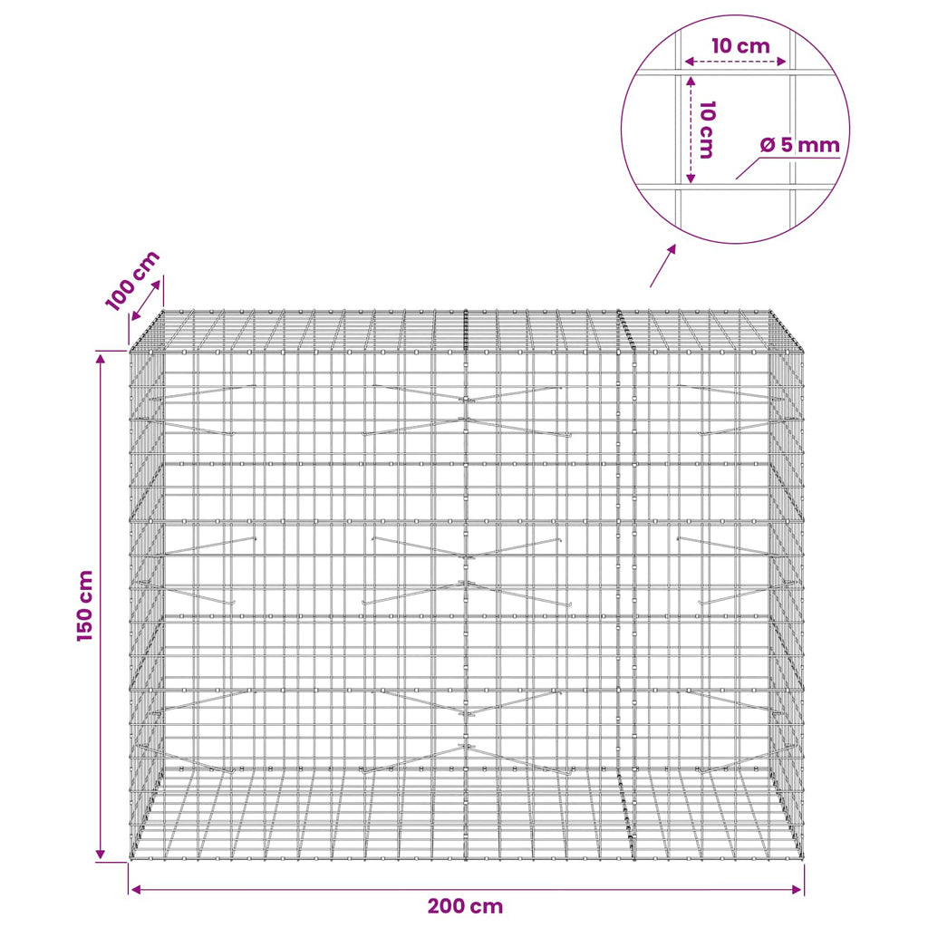 vidaXL Gabion z drutem 5 mm i siatką 10x10 cm 200x100x150 cm