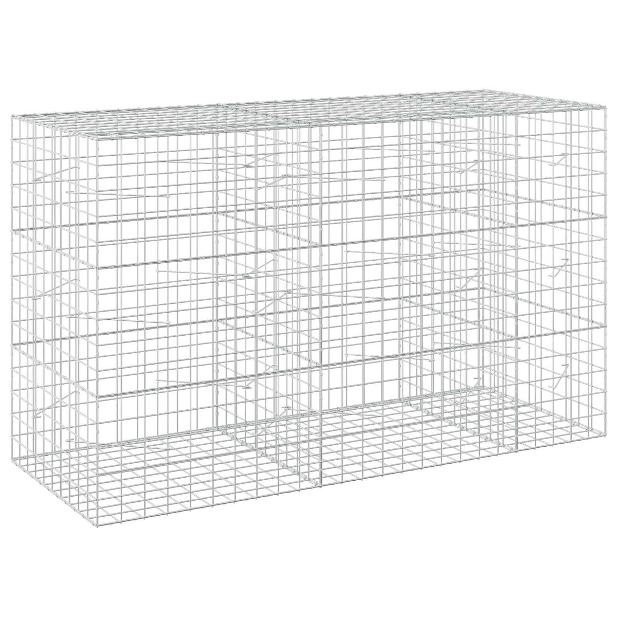 vidaXL Gabion z drutem 5 mm i siatką 10x10 cm 250x100x150 cm