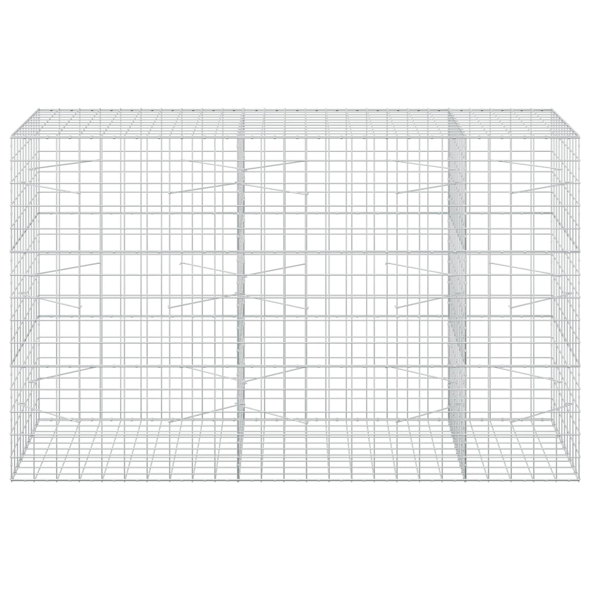 vidaXL Gabion z drutem 5 mm i siatką 10x10 cm 250x100x150 cm