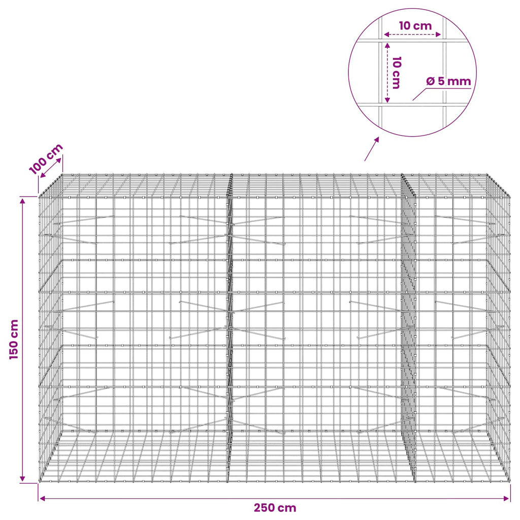 vidaXL Gabion z drutem 5 mm i siatką 10x10 cm 250x100x150 cm