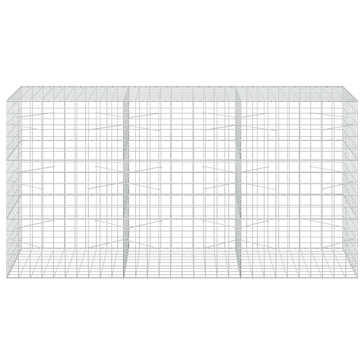 vidaXL Gabion z drutem 5 mm i siatką 10x10 cm 300x100x150 cm