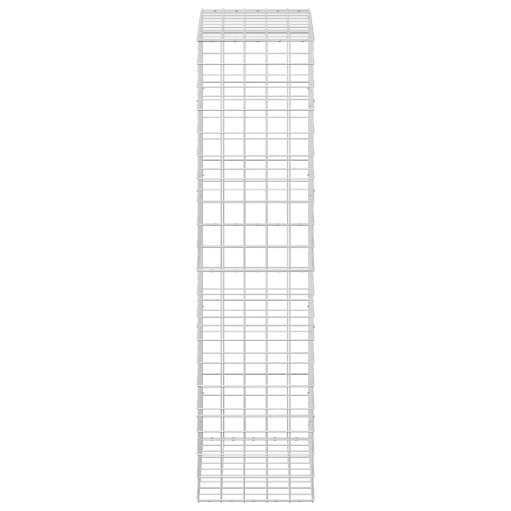 vidaXL Gabion z drutu 5 mm i siatką 10x10 cm 50x100x200 cm