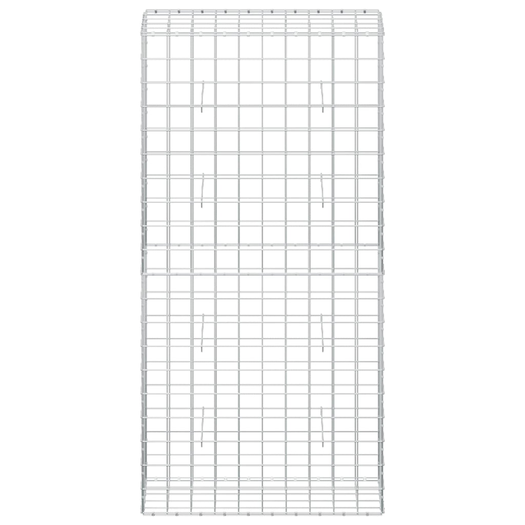vidaXL Gabion z drutu 5 mm i siatką 10x10 cm 50x100x200 cm