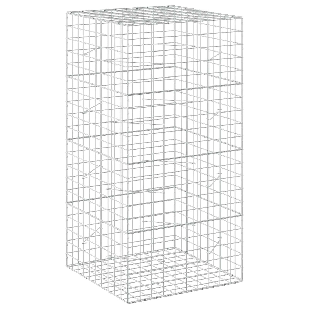 vidaXL Gabion z drutem 5 mm i siatką 10x10 cm 100x100x200 cm