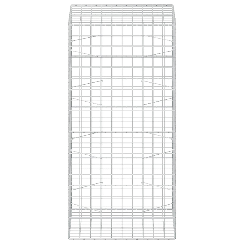 vidaXL Gabion z drutem 5 mm i siatką 10x10 cm 100x100x200 cm