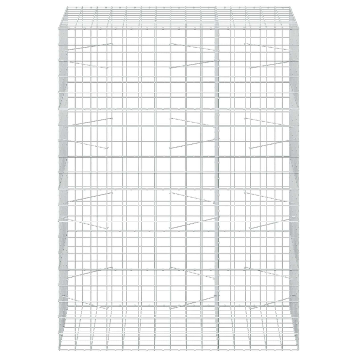 vidaXL Gabion z drutem 5 mm i siatką 10x10 cm 150x100x200 cm
