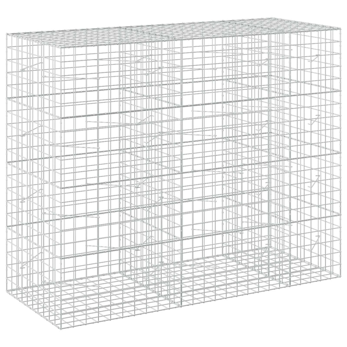 vidaXL Gabion z drutem 5 mm i siatką 10x10 cm 250x100x200 cm