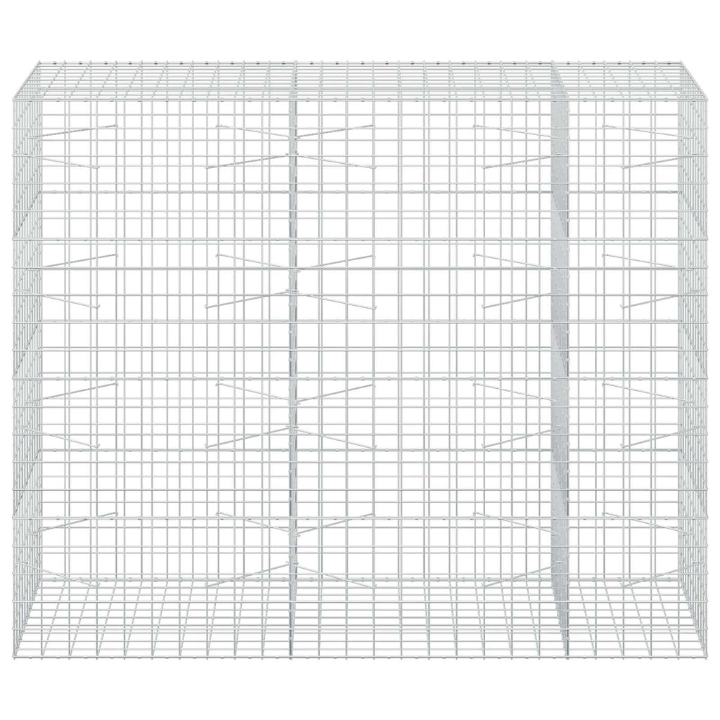 vidaXL Gabion z drutem 5 mm i siatką 10x10 cm 250x100x200 cm