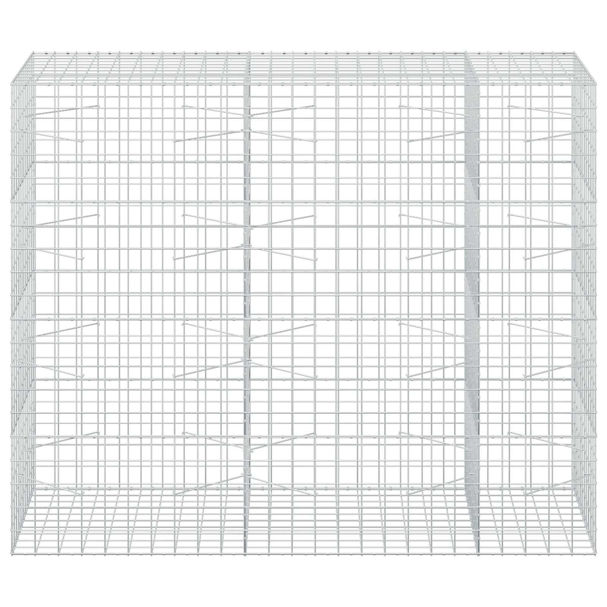 vidaXL Gabion z drutem 5 mm i siatką 10x10 cm 250x100x200 cm