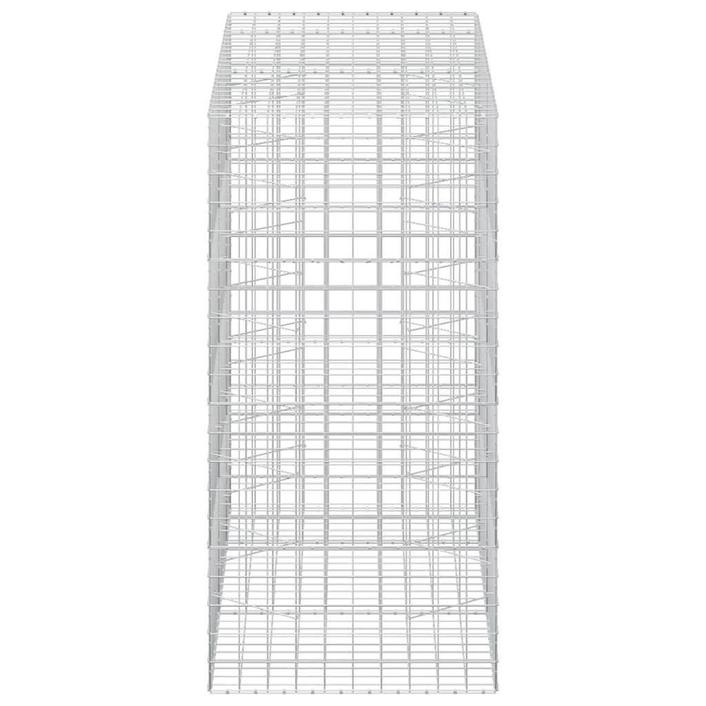 vidaXL Gabion z drutem 5 mm i siatką 10x10 cm 250x100x200 cm