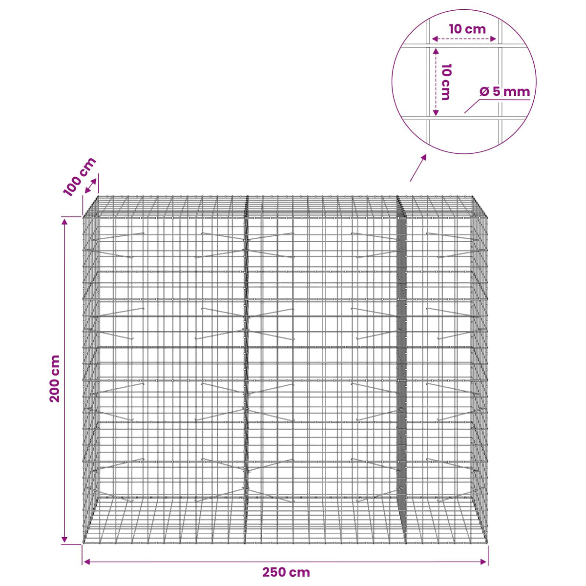 vidaXL Gabion z drutem 5 mm i siatką 10x10 cm 250x100x200 cm