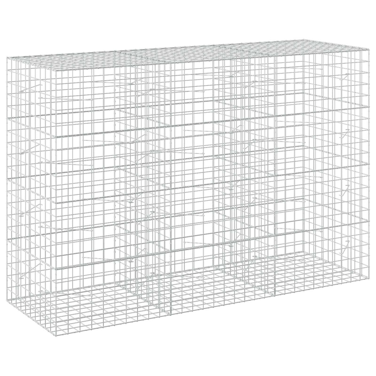 vidaXL Gabion z drutem 5 mm i siatką 10x10 cm 300x100x200 cm