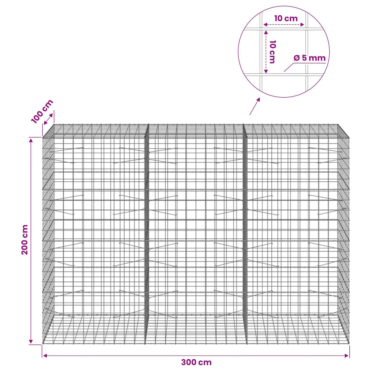 vidaXL Gabion z drutem 5 mm i siatką 10x10 cm 300x100x200 cm