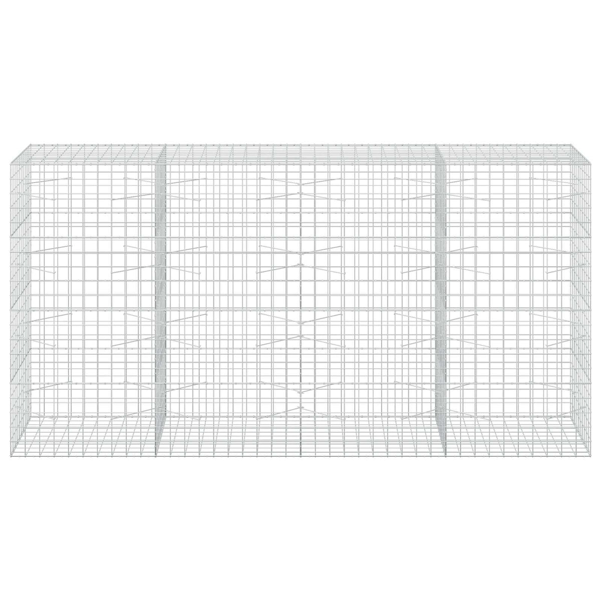 vidaXL Gabion z drutem 5 mm i siatką 10x10 cm 400x100x200 cm