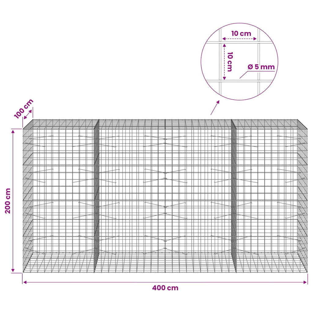 vidaXL Gabion z drutem 5 mm i siatką 10x10 cm 400x100x200 cm