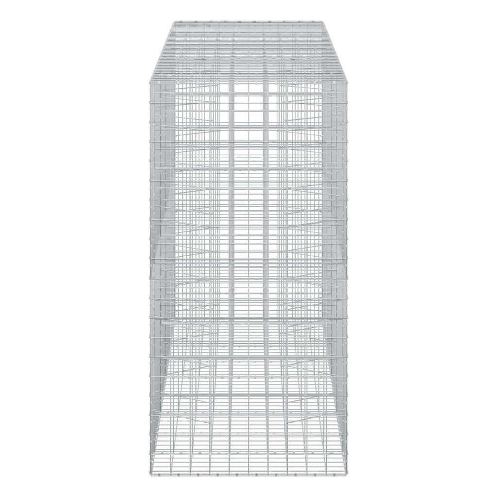 vidaXL Gabion z drutem 5 mm i siatką 10x10 cm 450x100x200 cm