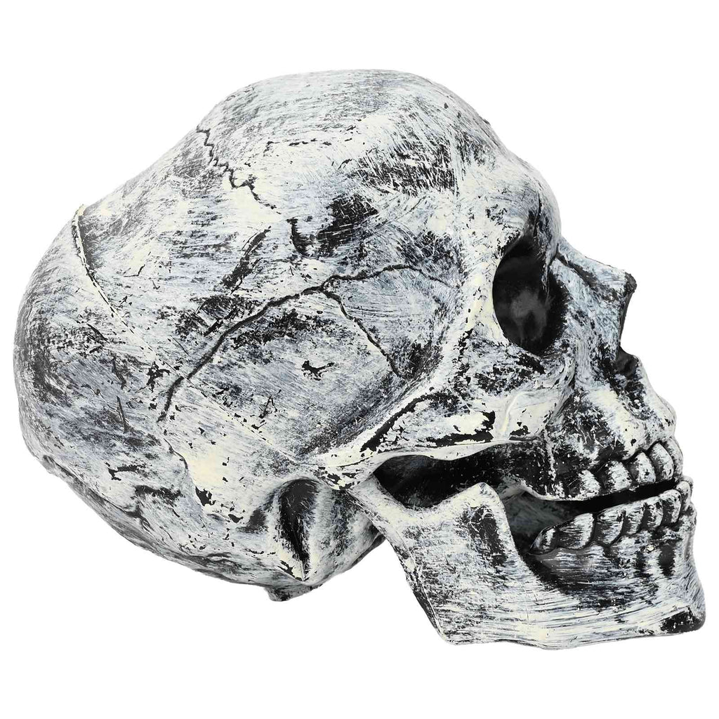vidaXL Czaszka na halloween SPOOKA 2 szt. Biały 12 x 15 x 17.5 cm