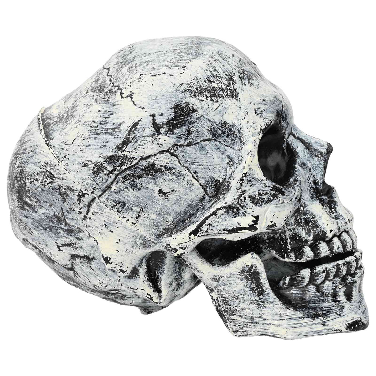 vidaXL Czaszka na halloween SPOOKA 2 szt. Biały 12 x 15 x 17.5 cm