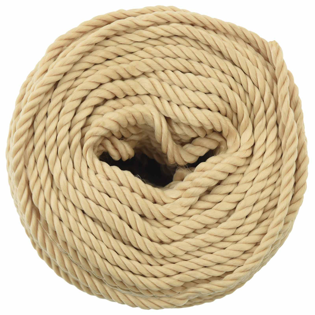 vidaXL Wielofunkcyjna lina gospodarcza 4 mm 25 m naturalny PP