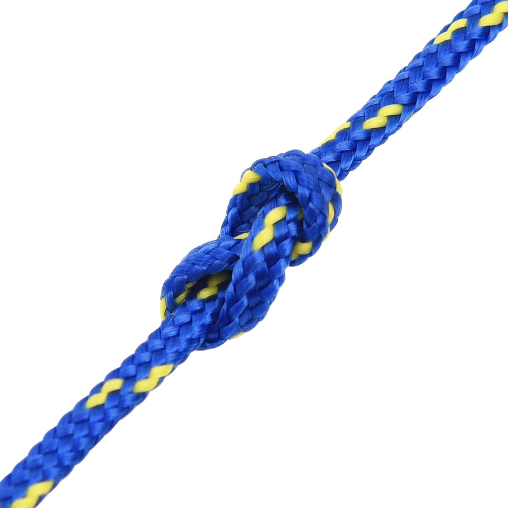vidaXL Wielofunkcyjna lina gospodarcza 2 mm 25 m niebieski PP
