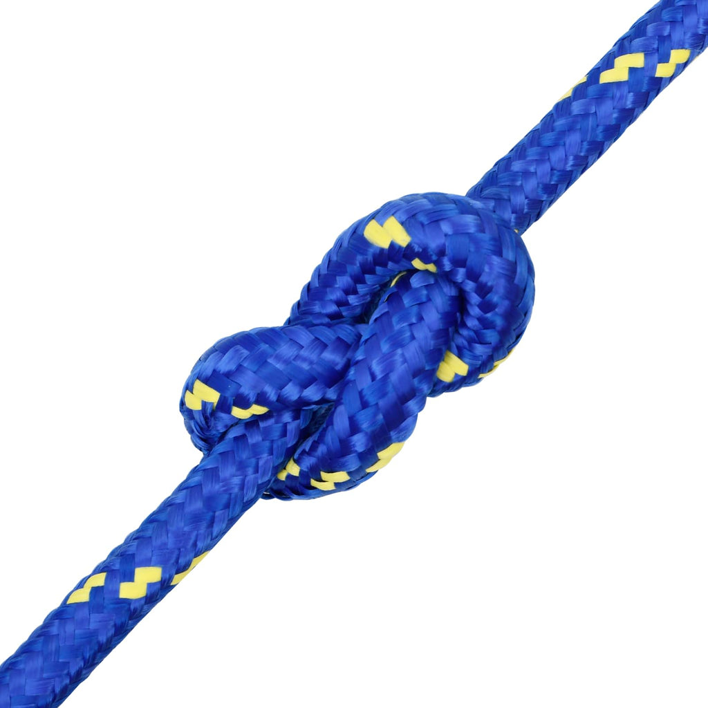 vidaXL Wielofunkcyjna lina gospodarcza 20 mm 25 m niebieski PP