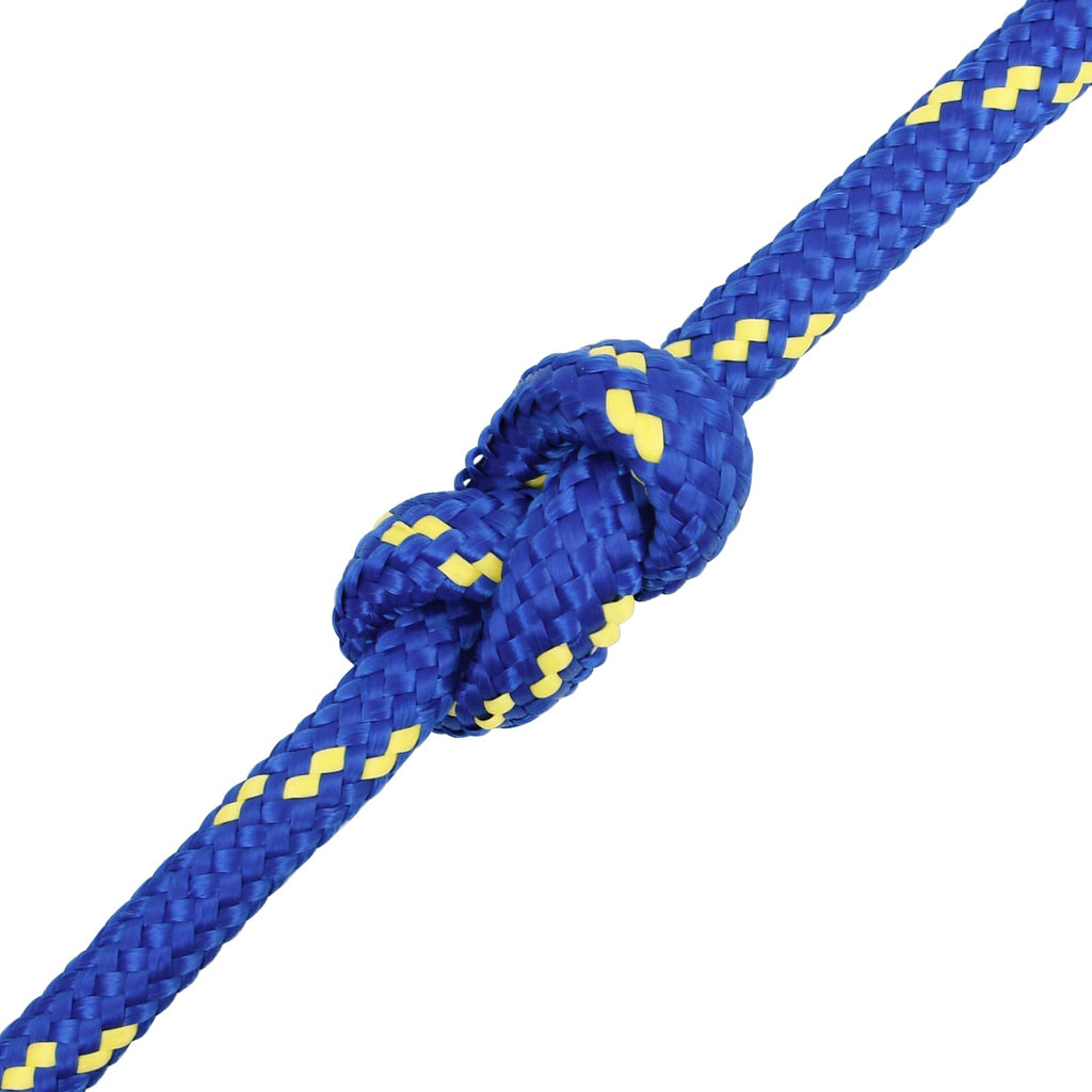 vidaXL Wielofunkcyjna lina gospodarcza 18 mm 25 m niebieski PP